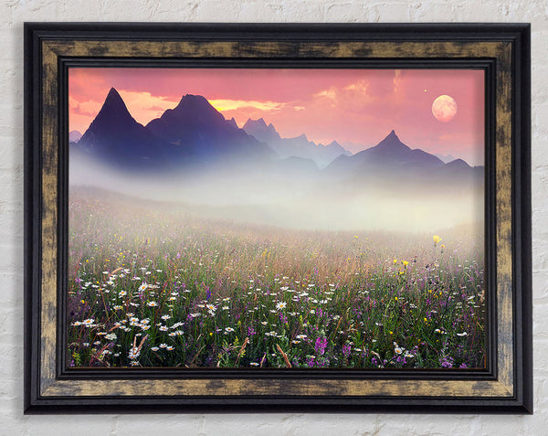 Flower Mountain Mist Framed Print