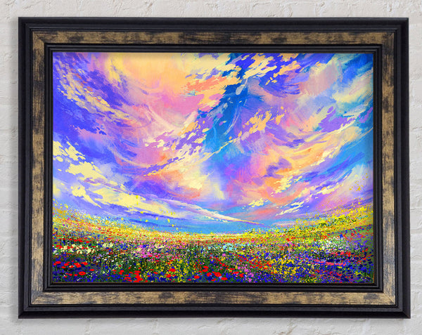 Rainbow Fields Framed Print
