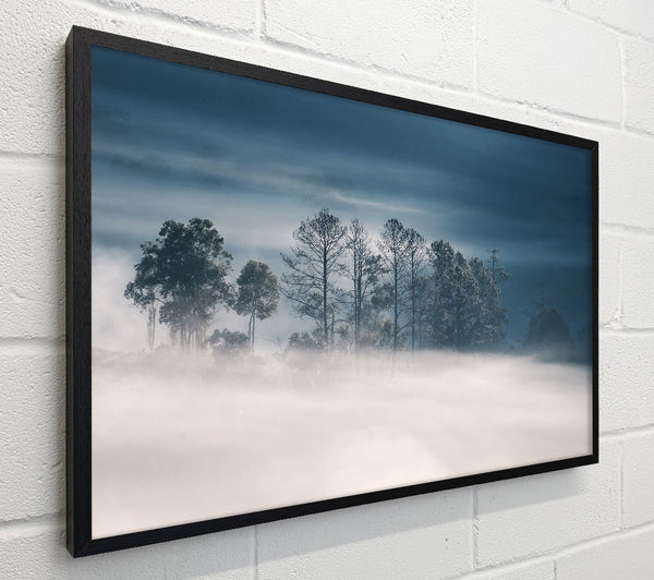 Morning Mist