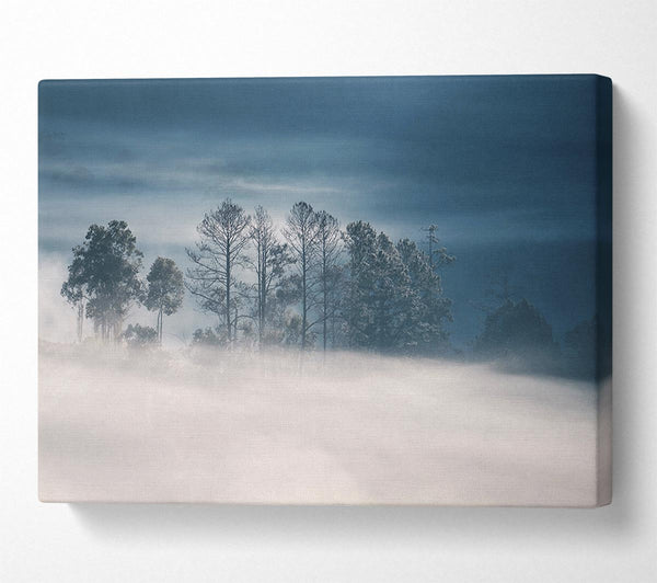  A Canvas Print of Morning Mist Canvas Wall Art