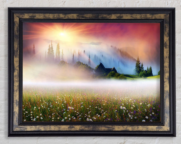 Sun Beams Through The Misty Flowers Framed Print