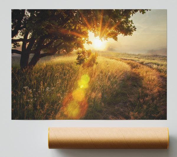 Sun Burst Tree Giclee Print