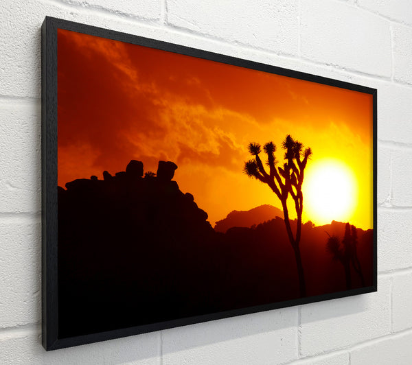 Sunset Desert