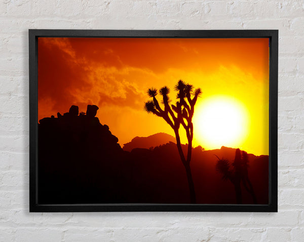 Sunset Desert Framed Print