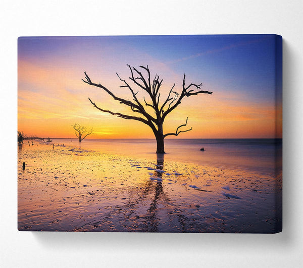  A Canvas Print of Winter Lake Sunset Canvas Print
