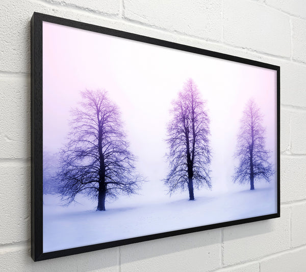 Purple Winter Trees