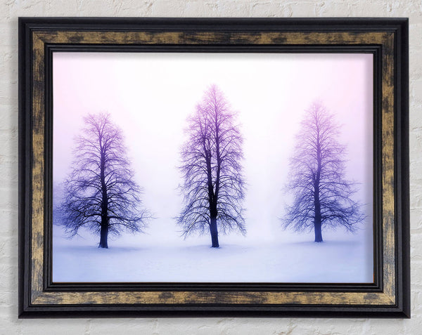 Purple Winter Trees Framed Print