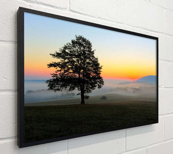 Misty Sunrise