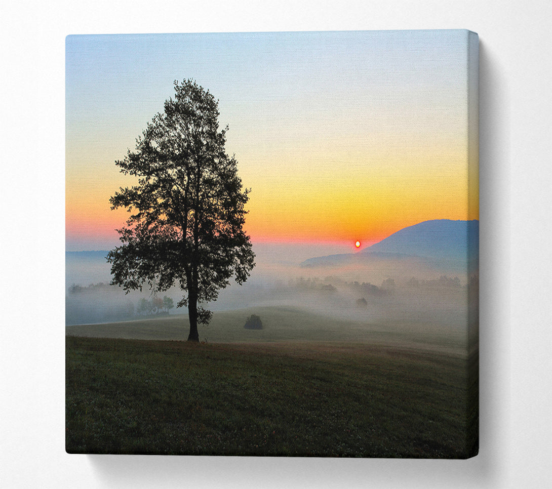  A Canvas Print of Misty Sunrise Canvas Art