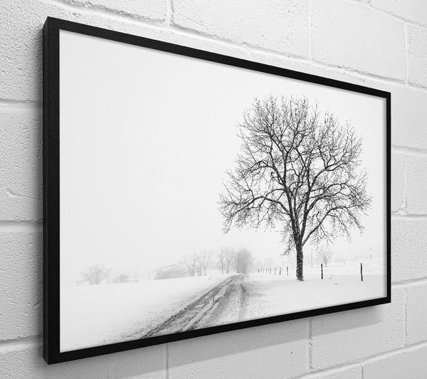 Snow Path