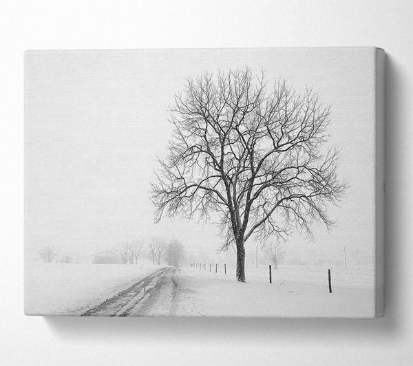  A Canvas Print of Snow Path Canvas Art