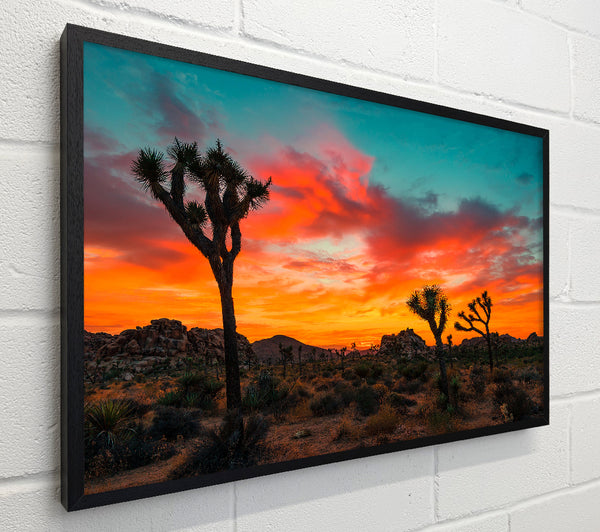 Sunset Desert Skies