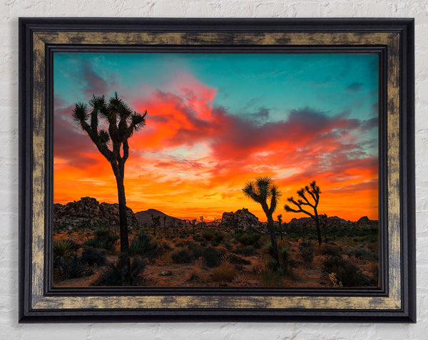 Sunset Desert Skies Framed Print