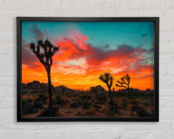 Sunset Desert Skies Framed Print
