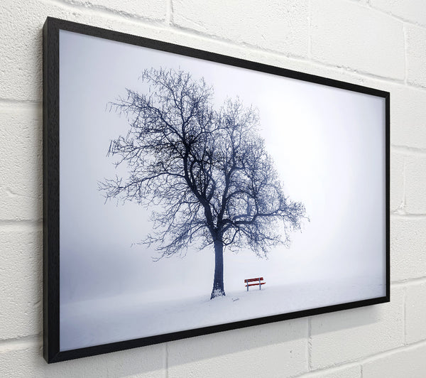 Lonesome Tree