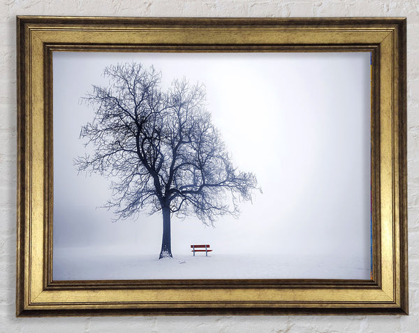 Lonesome Tree Framed Print