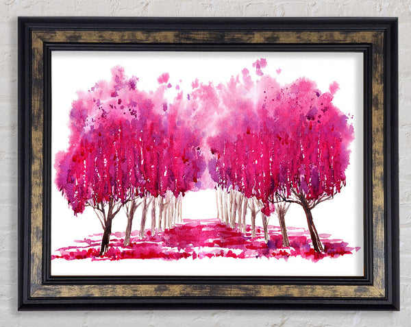 Pink Tree Walk Framed Print