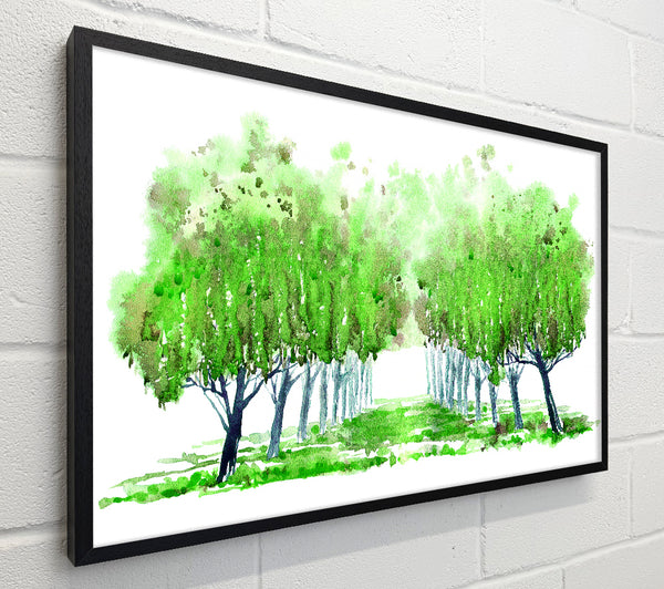 Green Tree Walk