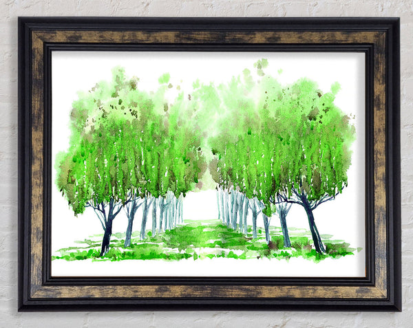 Green Tree Walk Framed Print