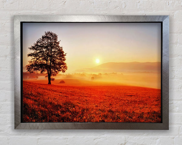 Herbst Sonnenuntergang Felder