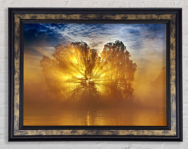 Golden Sunburst Tree Framed Print