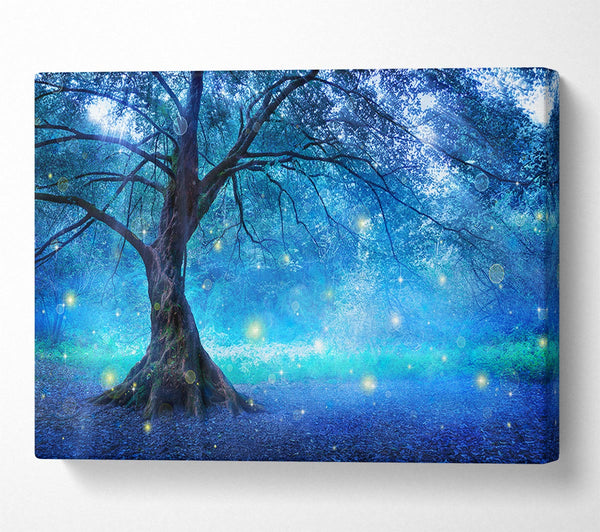  A Canvas Print of Fairy Tree Canvas Print