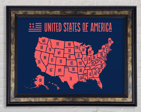 States Of America 1 Framed Print