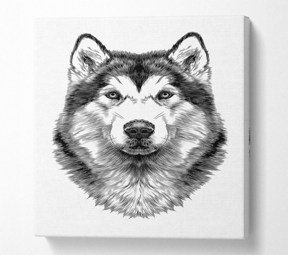  A Canvas Print of Husky Wolf Canvas Art