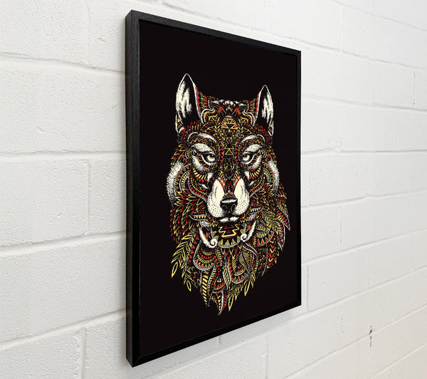 Indian Wolf