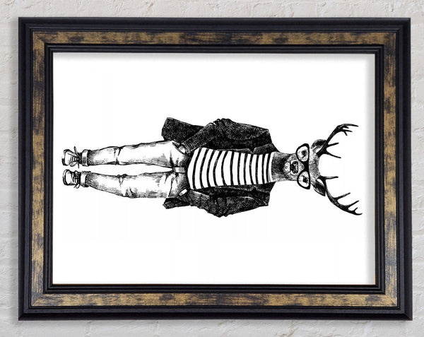Steve The Stag Framed Print
