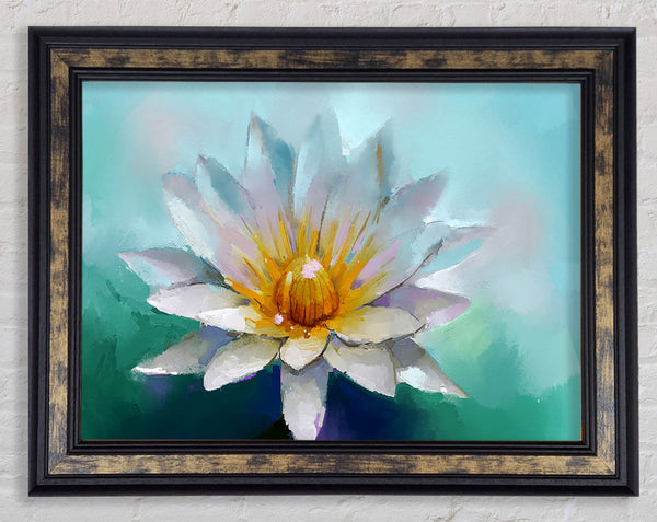 Water Lily Framed Print