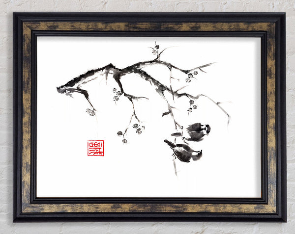 Chinese Birds In The Branch Framed Print