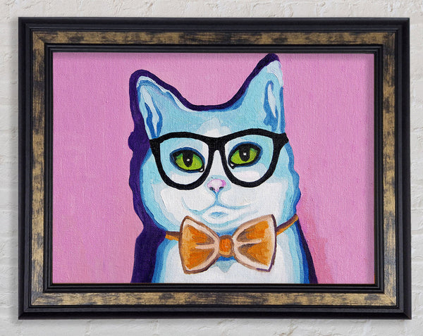 Clever Cat