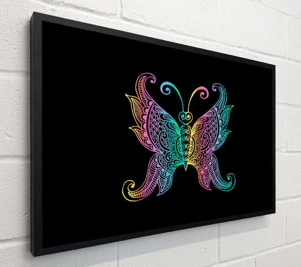 Indian Butterfly