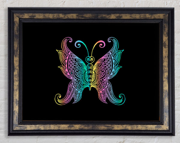 Indian Butterfly Framed Print