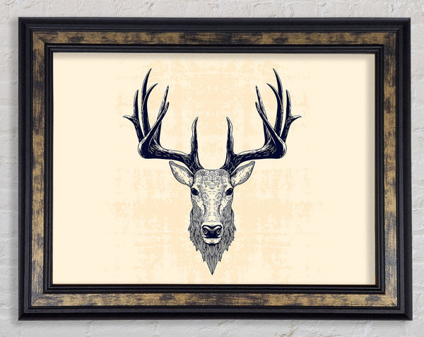 Stag Head Framed Print