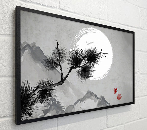 Chinese Mountain Tree Tops