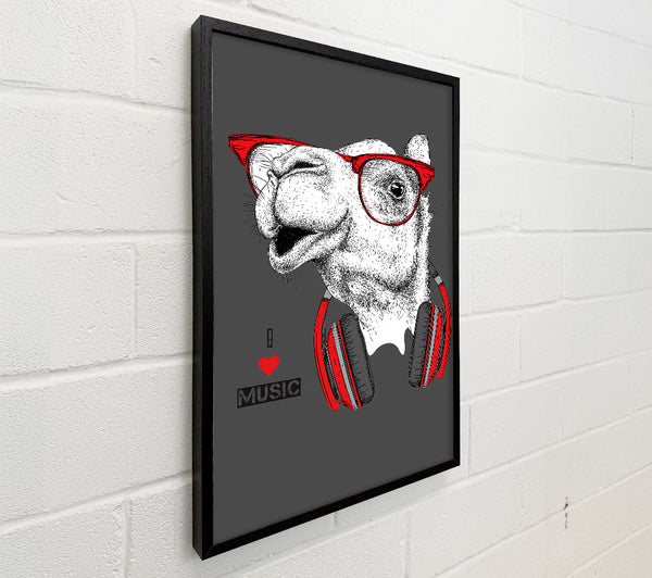 Camel I Love Music