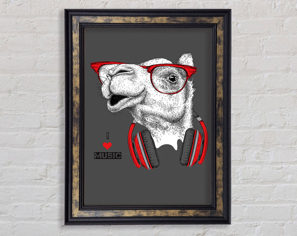 Camel I Love Music Framed Print