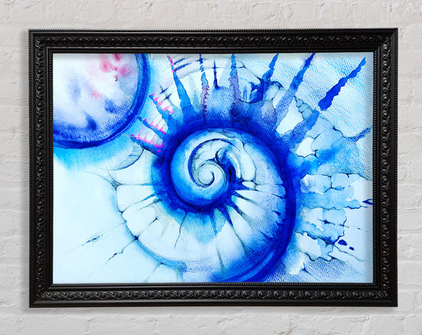 Blue Spiral Shell Framed Print