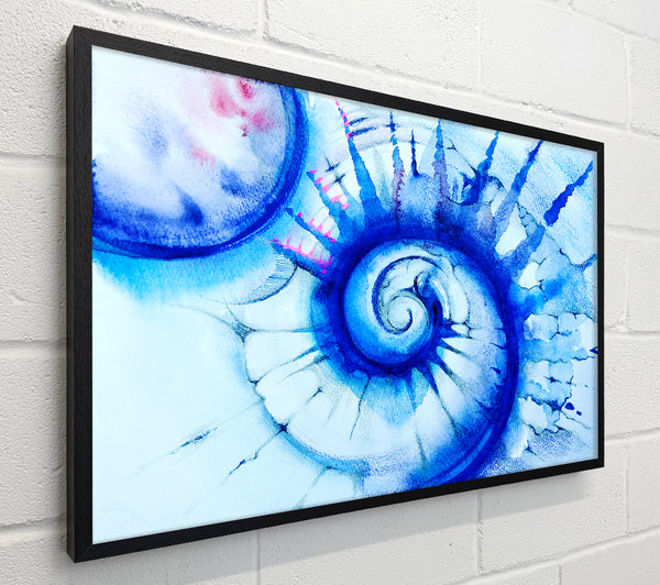 Blue Spiral Shell