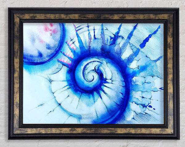 Blue Spiral Shell Framed Print