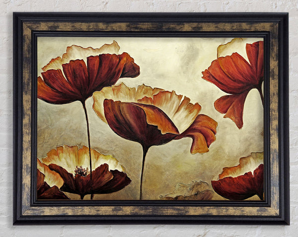 Chocolate Poppy Skies 1 Framed Print