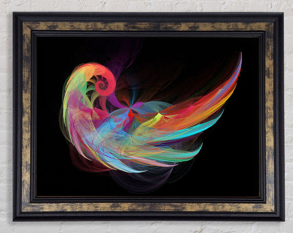Wings Of A Rainbow Framed Print