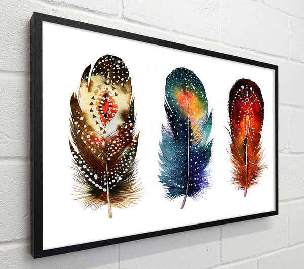 Indian Feathers
