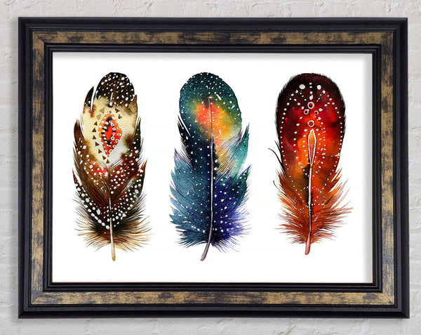 Indian Feathers Framed Print
