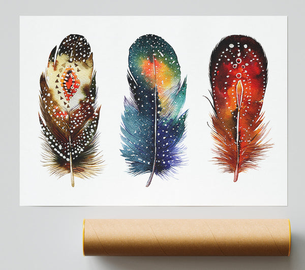 Indian Feathers Print