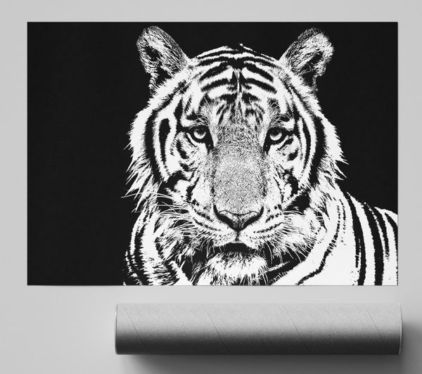 Stunning Tiger Face Giclee Print