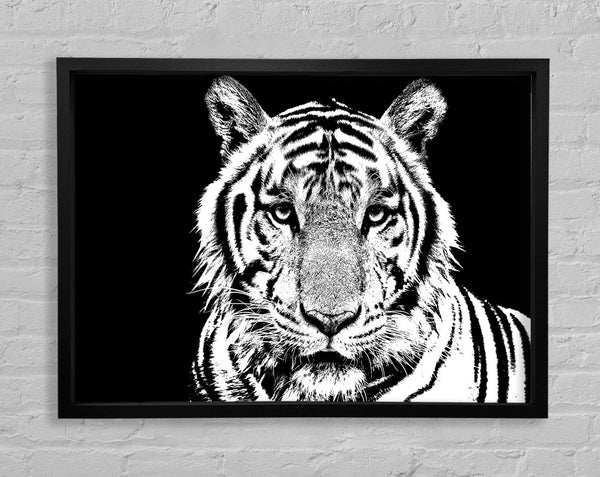 Atemberaubendes Tigergesicht