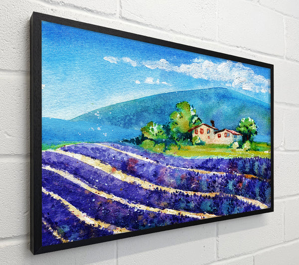 Lavender Fields In France